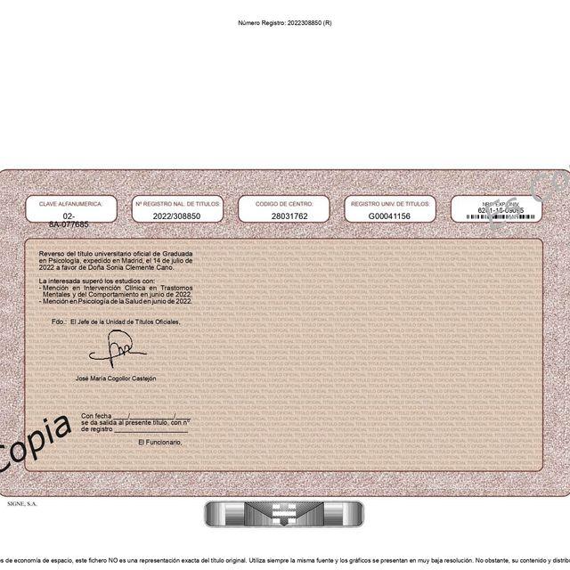 Acercar imagen: certificate 2