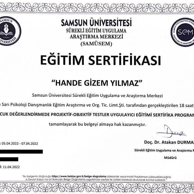 Resmi büyüt: certificate 5