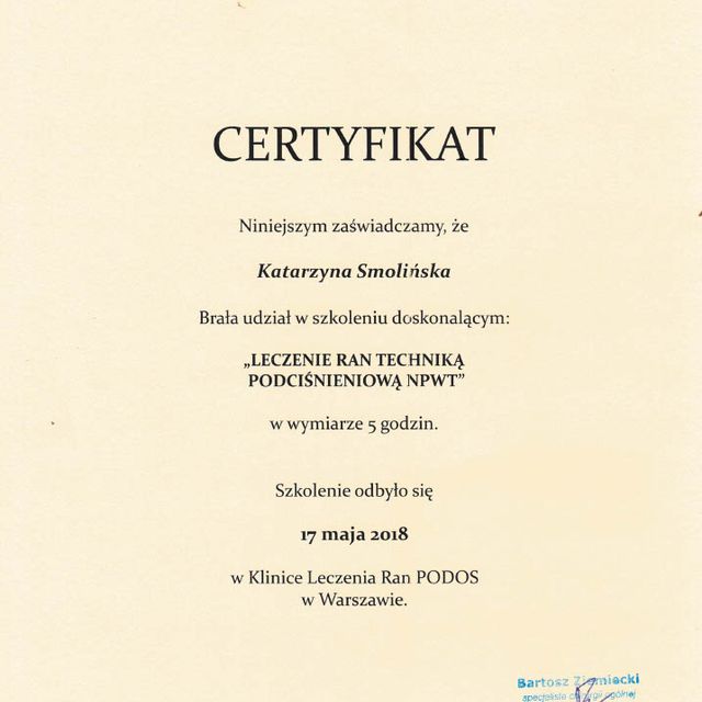 Powiększ obraz: certificate 1