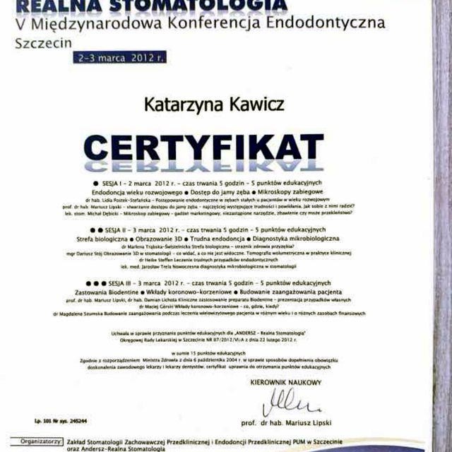 Powiększ obraz: certificate 4