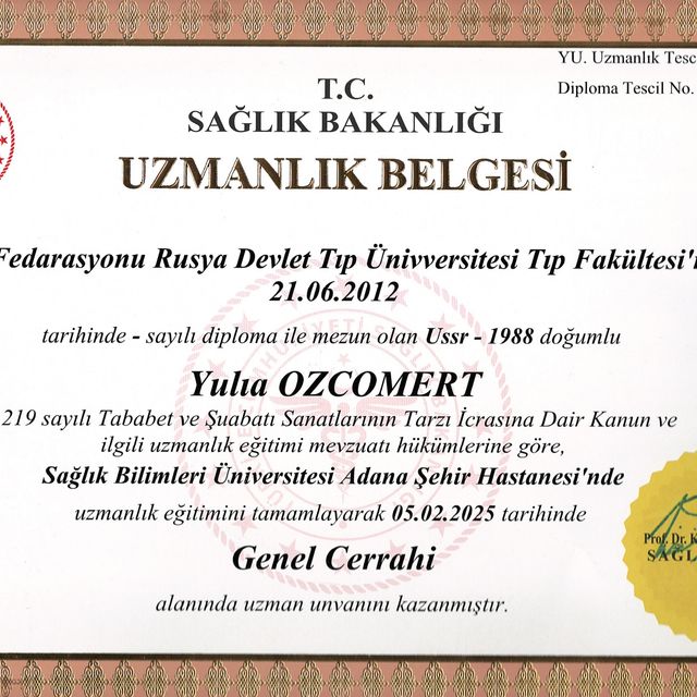 Resmi büyüt: certificate 2