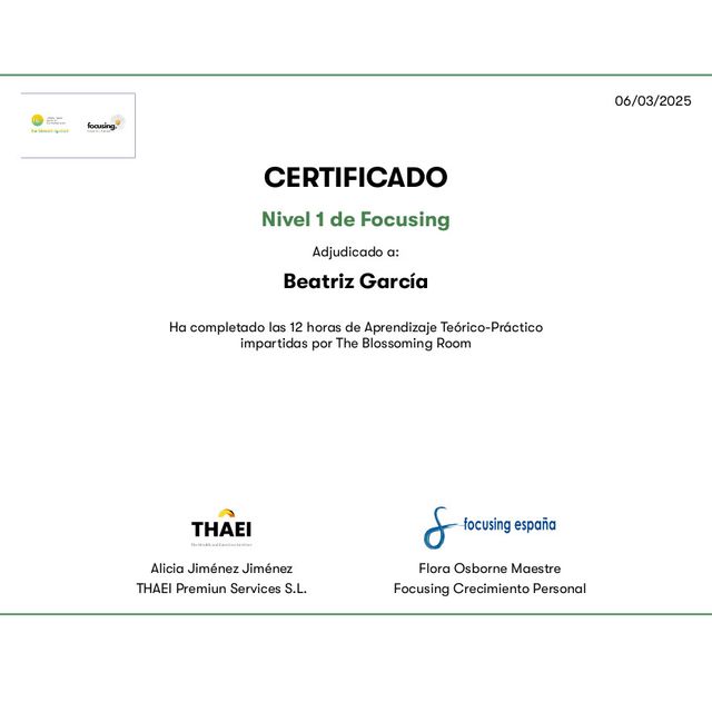 Acercar imagen: certificate 6
