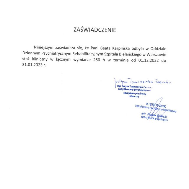 Powiększ obraz: certificate 11