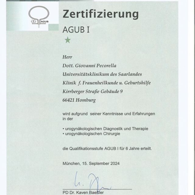 Ingrandire l'immagine: certificate 1