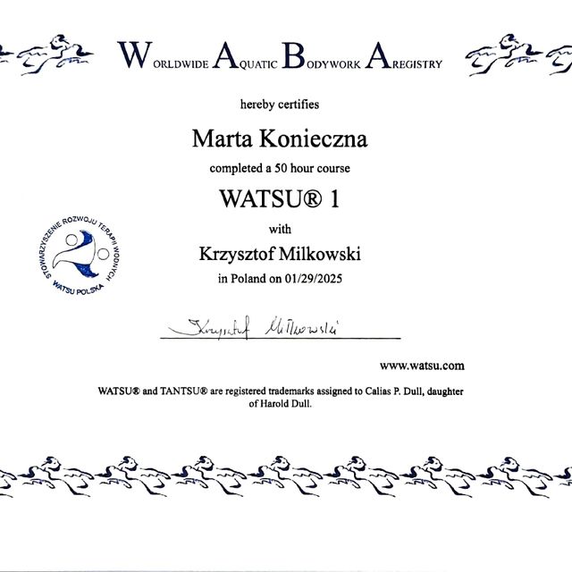 Powiększ obraz: certificate 6