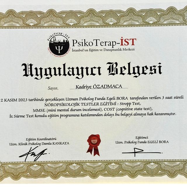 Resmi büyüt: certificate 49
