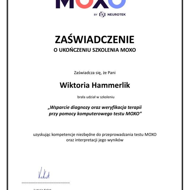 Powiększ obraz: certificate 1