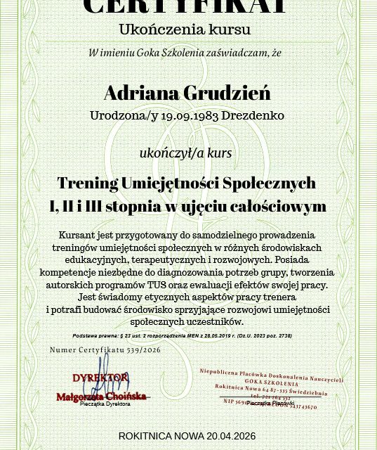 Powiększ obraz: certificate 1
