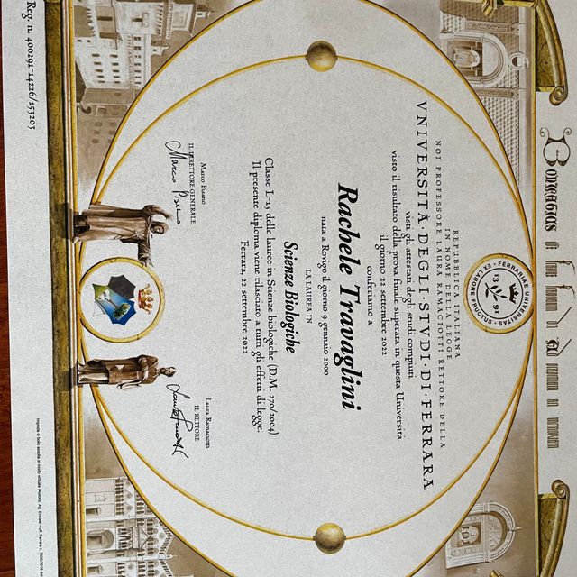 Ingrandire l'immagine: certificate 1