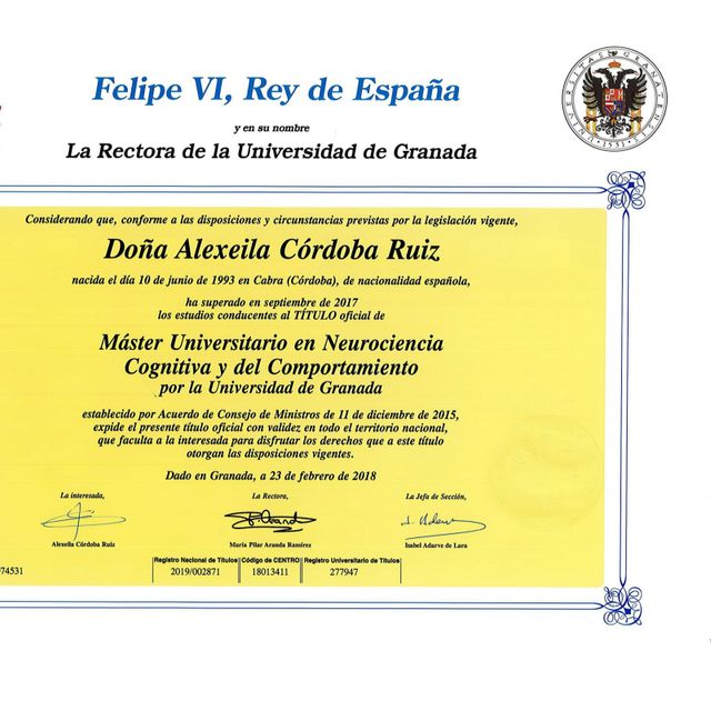Acercar imagen: certificate 6