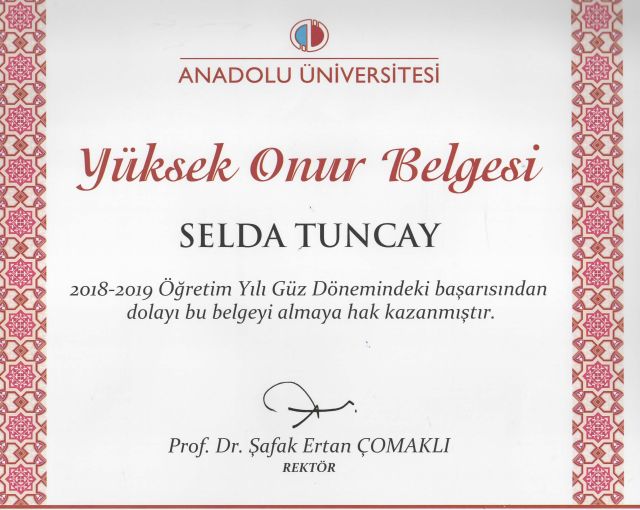 Resmi büyüt: certificate 16