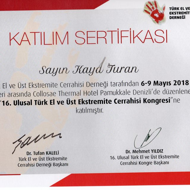 Resmi büyüt: certificate 14