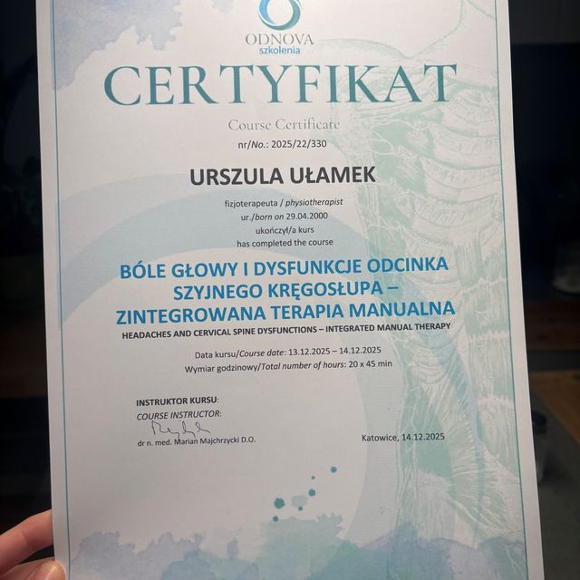 Powiększ obraz: certificate 1