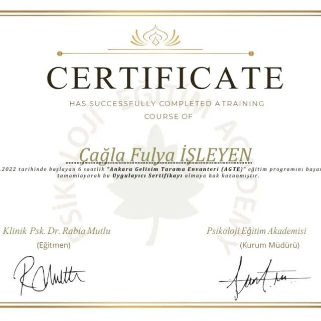 Resmi büyüt: certificate 6
