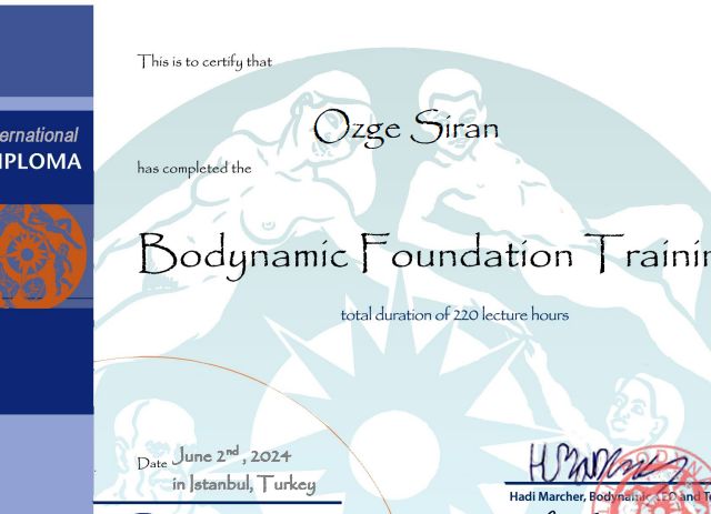 Resmi büyüt: certificate 2