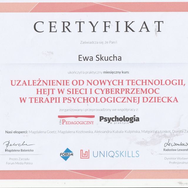 Powiększ obraz: certificate 8
