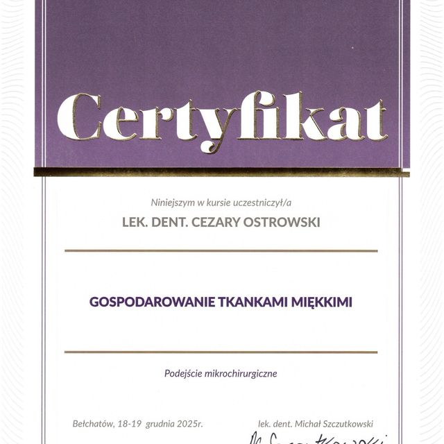Powiększ obraz: certificate 1