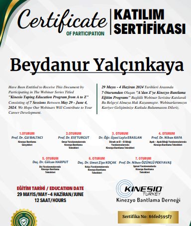 Resmi büyüt: certificate 1