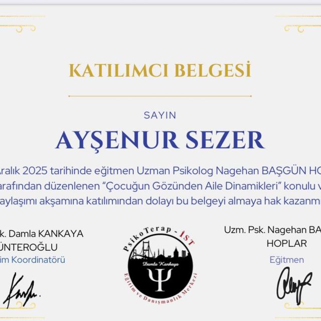 Resmi büyüt: certificate 6