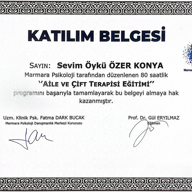 Resmi büyüt: certificate 2