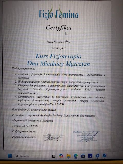 Powiększ obraz: certificate 1