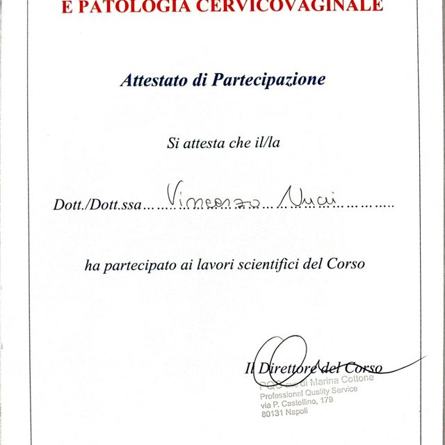 Ingrandire l'immagine: certificate 101