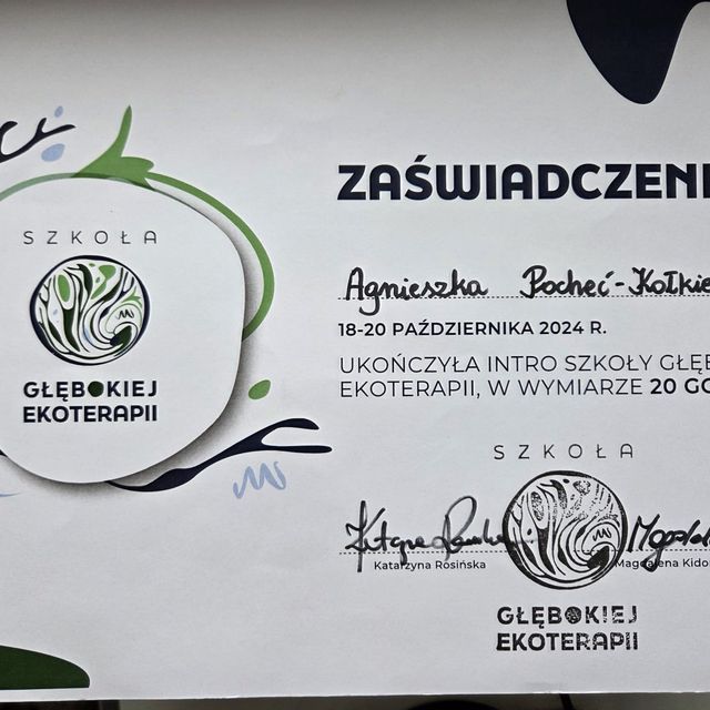 Powiększ obraz: certificate 3
