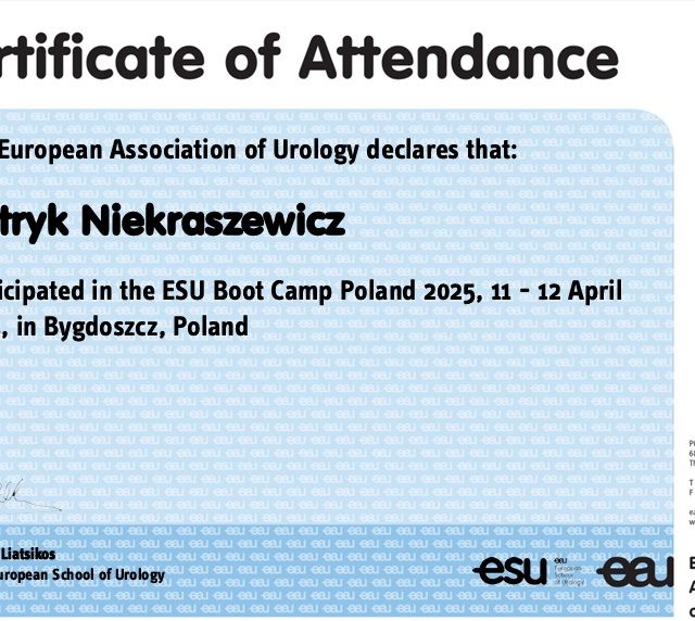 Powiększ obraz: certificate 1