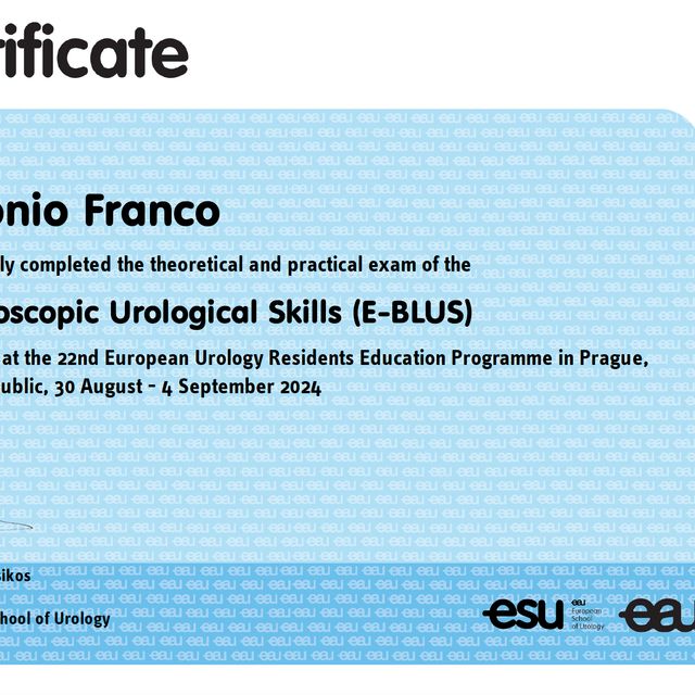 Ingrandire l'immagine: certificate 2