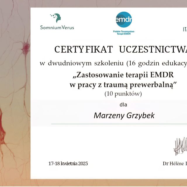 Powiększ obraz: certificate 8