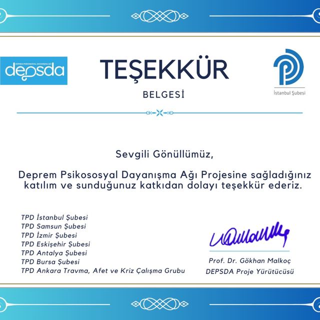 Resmi büyüt: certificate 7