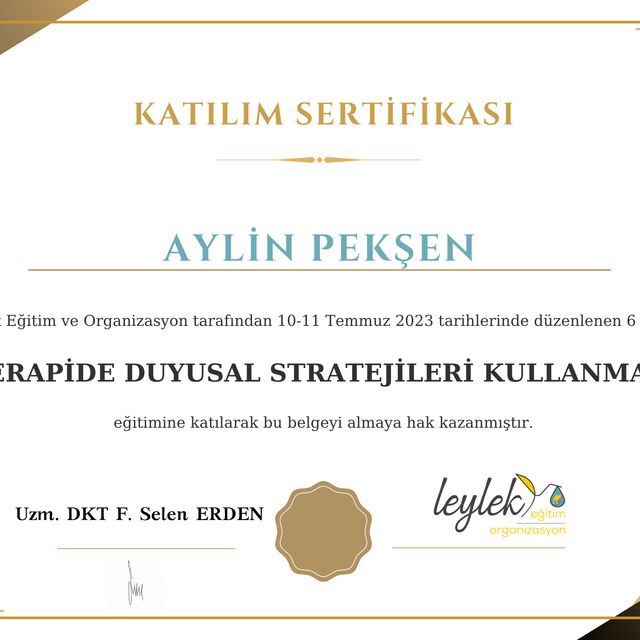 Resmi büyüt: certificate 11