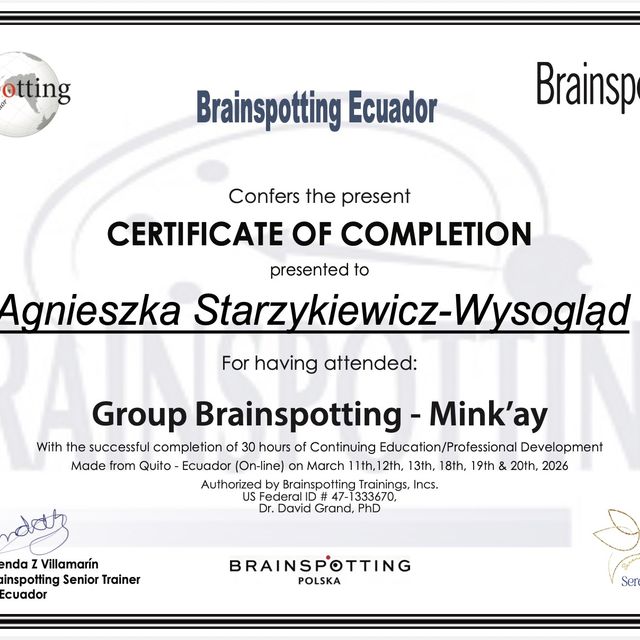 Powiększ obraz: certificate 2