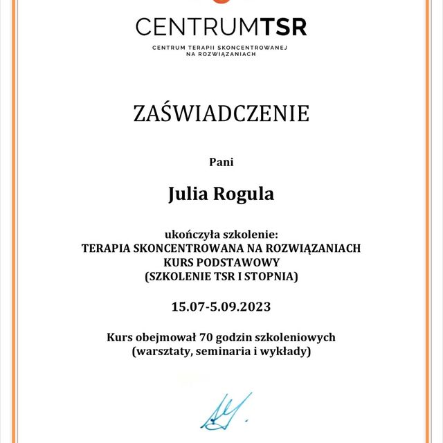Powiększ obraz: certificate 2