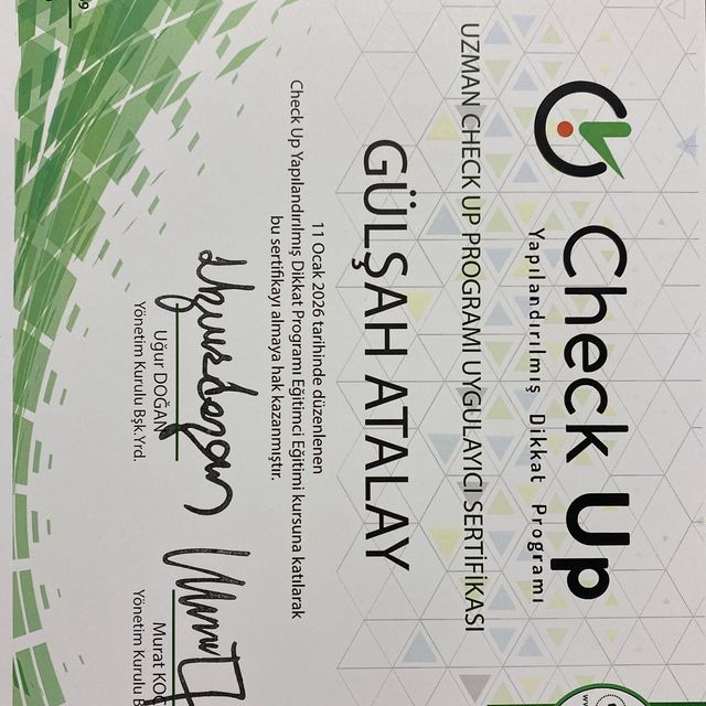Resmi büyüt: certificate 2