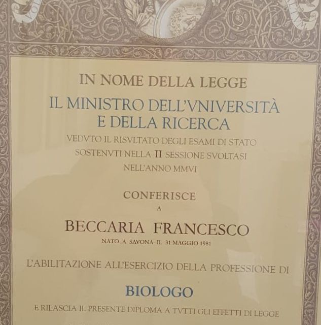 Ingrandire l'immagine: certificate 6