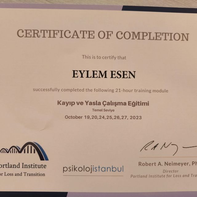 Resmi büyüt: certificate 13