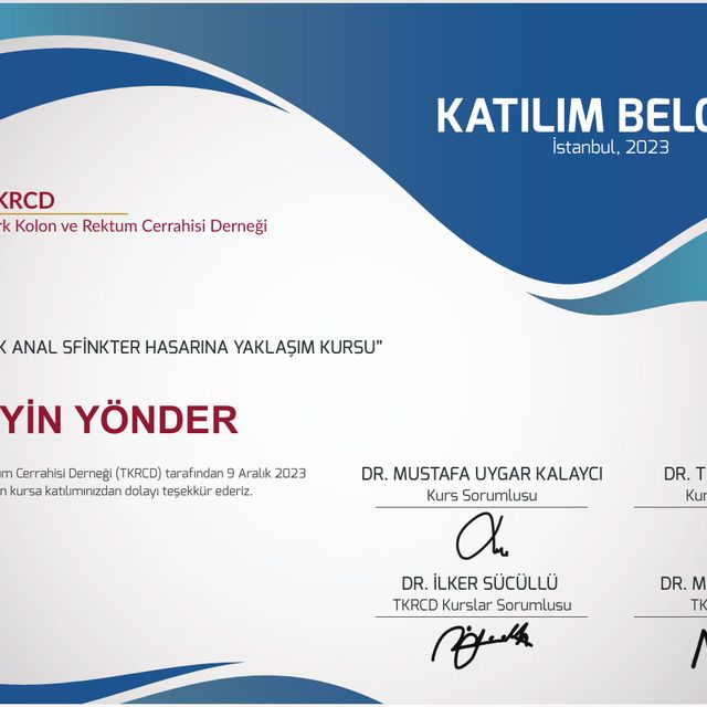 Resmi büyüt: certificate 1