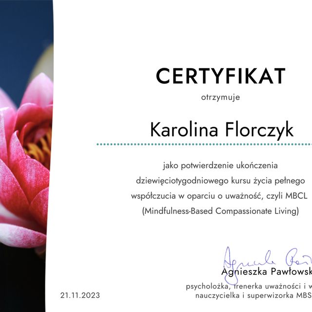 Powiększ obraz: certificate 2