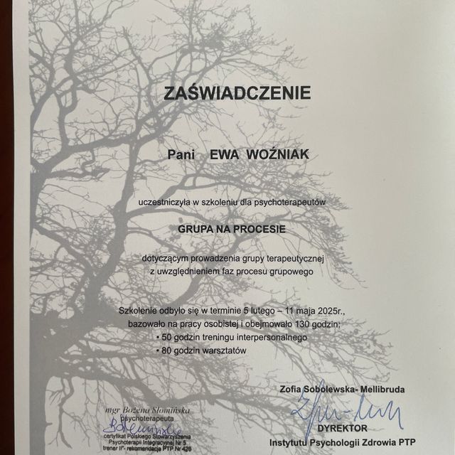 Powiększ obraz: certificate 1