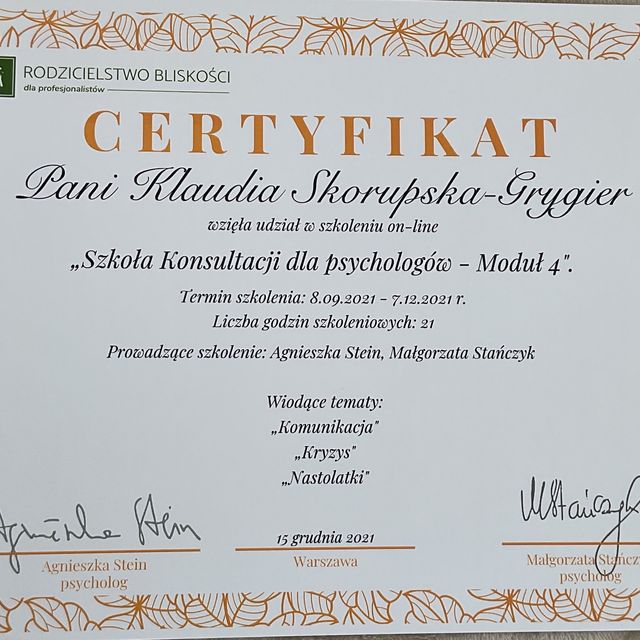 Powiększ obraz: certificate 8
