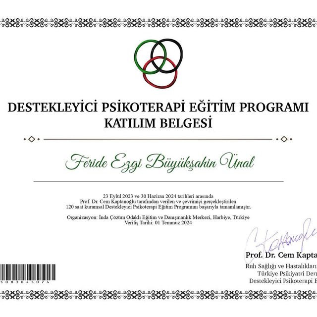 Resmi büyüt: certificate 3