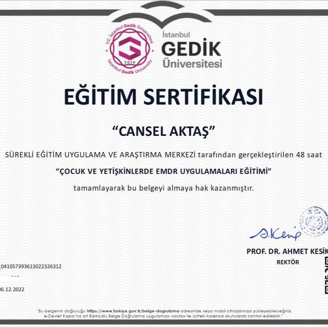 Resmi büyüt: certificate 8