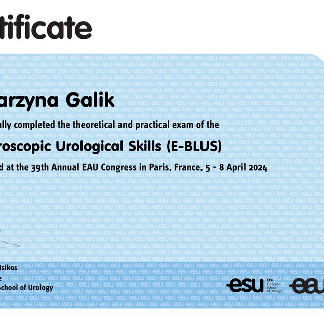 Powiększ obraz: certificate 1