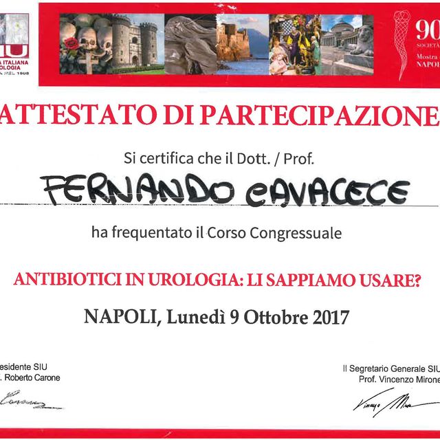Ingrandire l'immagine: certificate 61