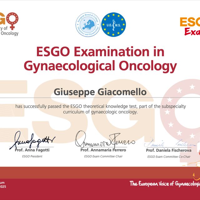 Ingrandire l'immagine: certificate 4