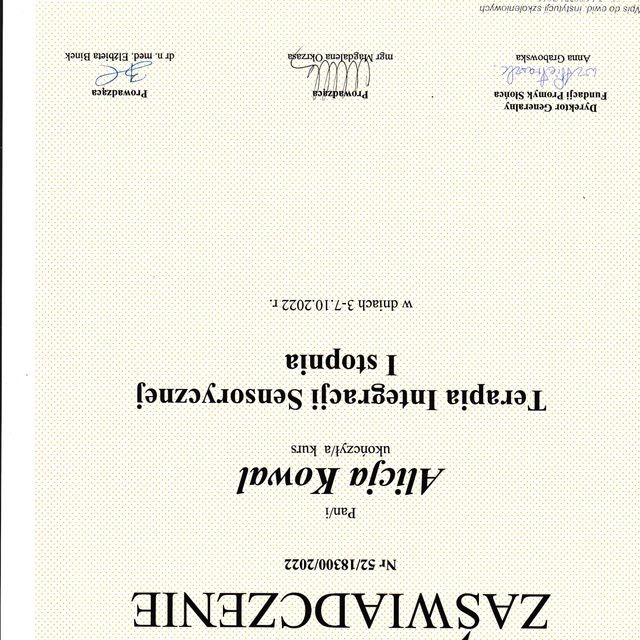 Powiększ obraz: certificate 5