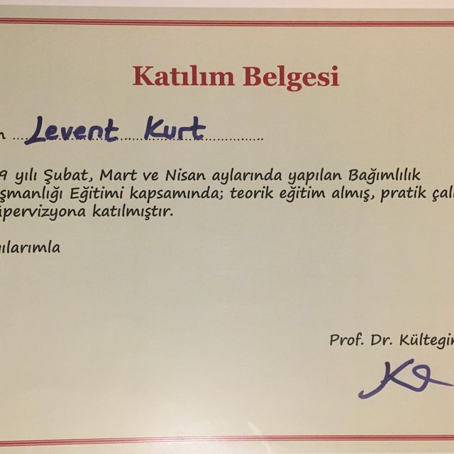 Resmi büyüt: certificate 3