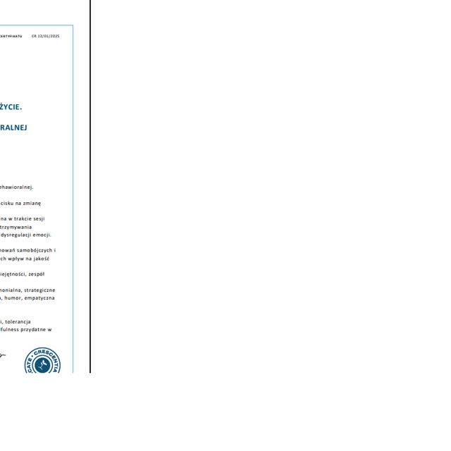 Powiększ obraz: certificate 6