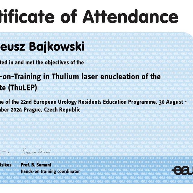 Powiększ obraz: certificate 3